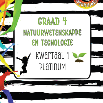 Gr 4 Plat NWT Kw 1